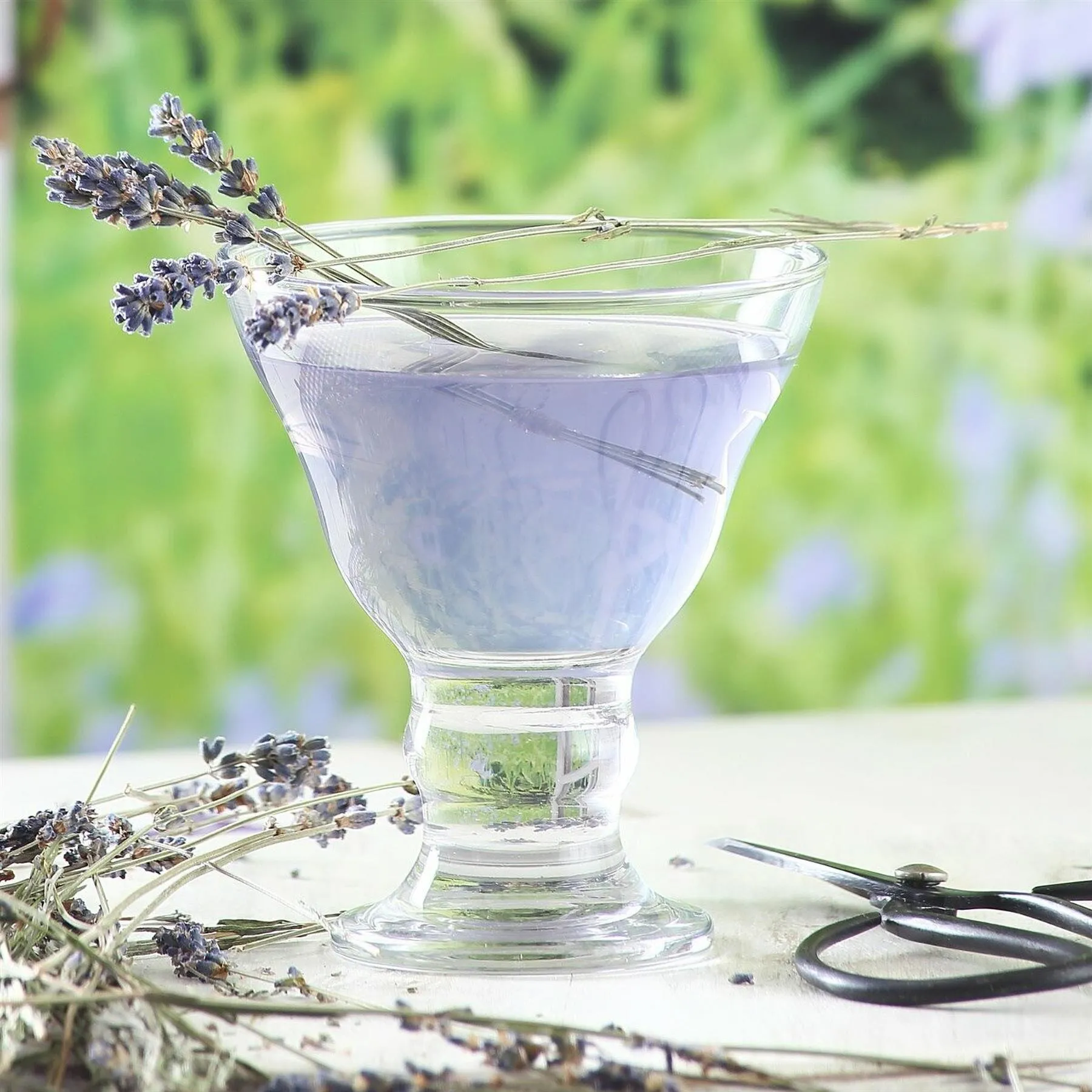 255ml Orion Glass Ice Cream Bowls - Pack of 6 - By LAV
