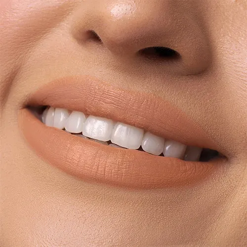 Beauty Creations Nude X Soft Matte Lipstick