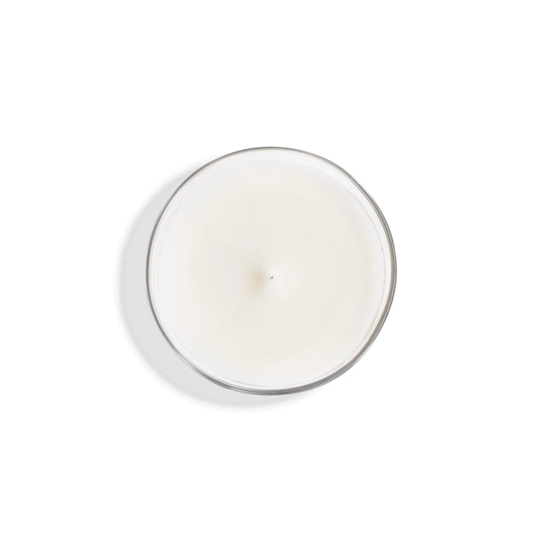 Forêt Vierge | Bougie parfumée