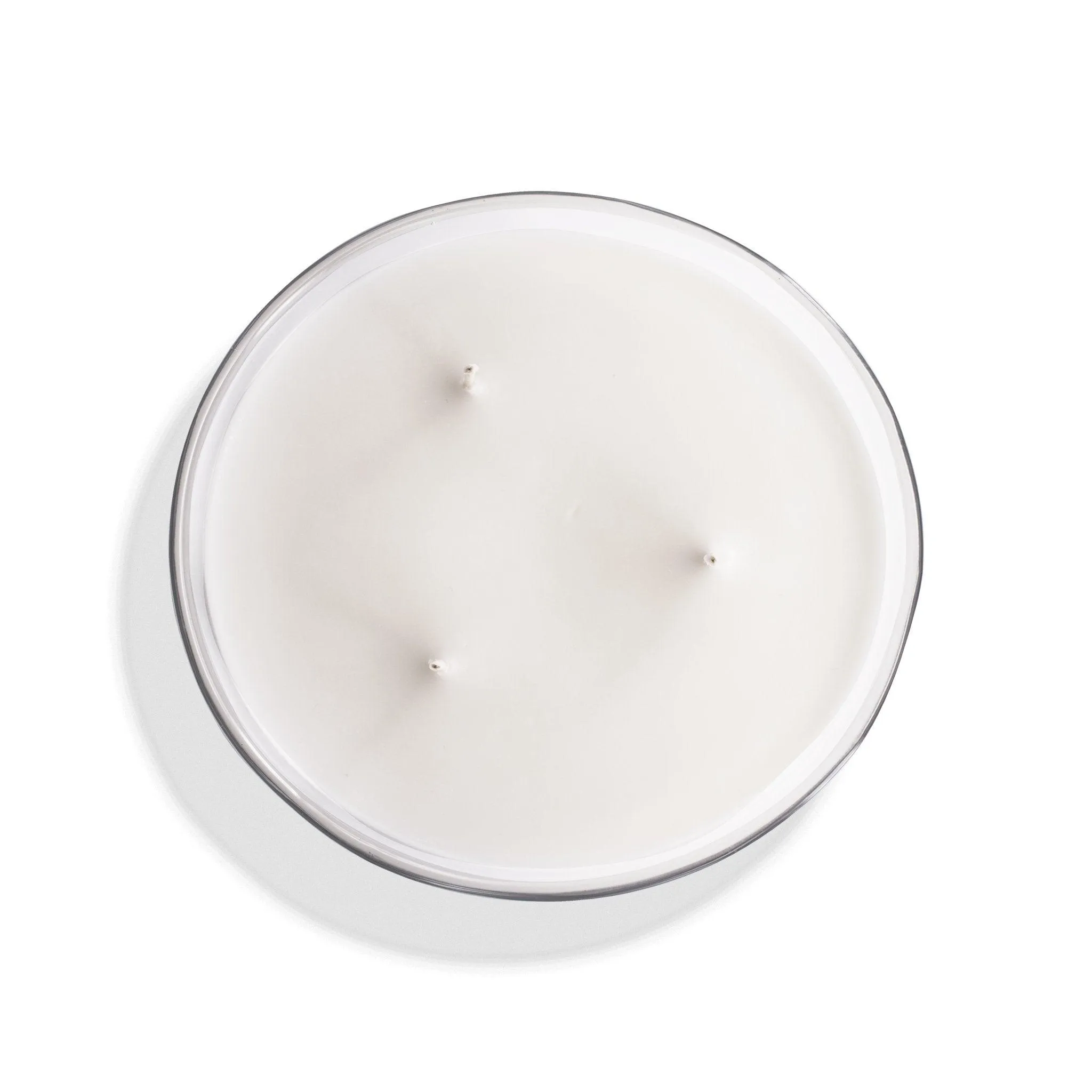 Forêt Vierge | Grande Bougie parfumée