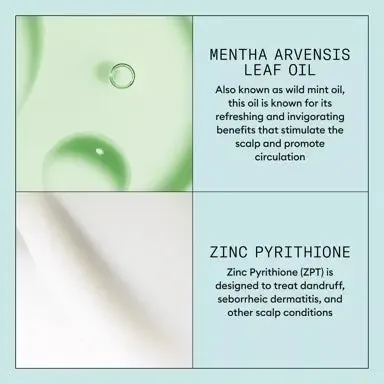 Nioxin Scalp Recovery Soothing Serum 3.3 oz.
