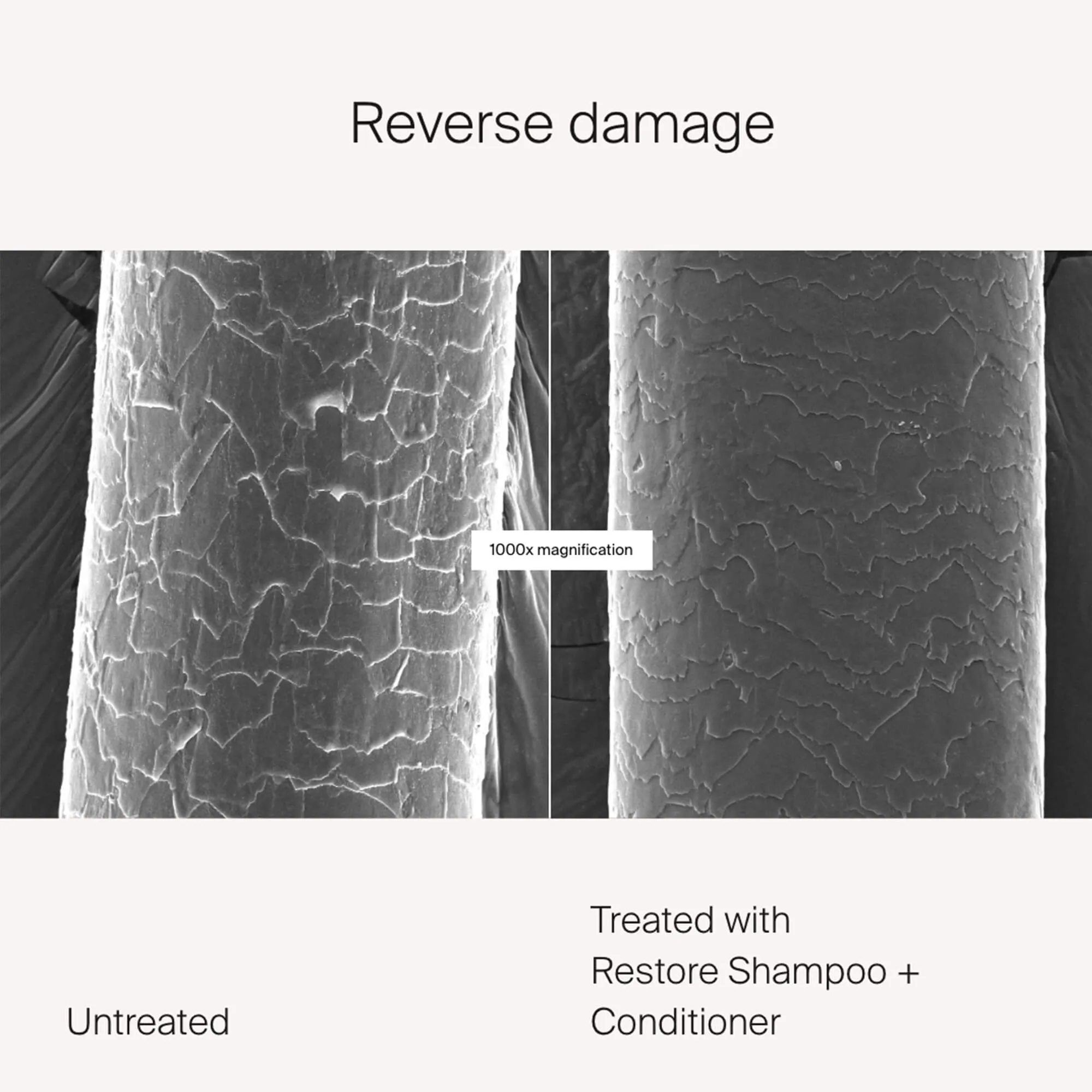 Restore Repair Shampoo & Conditioner Bundle
