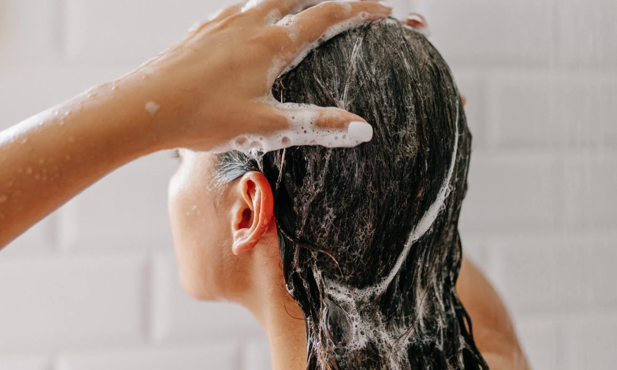 Shampoo & Conditioner